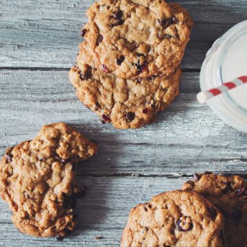 chocolate chip cranberry oatmeal cookies_hot for food