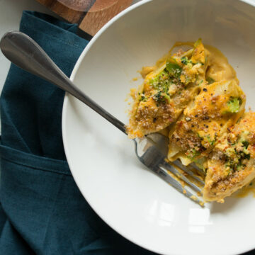 broccoli and cheese stuffed shells_hot for food