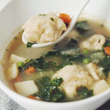 vegetable dumpling soup_hot for food
