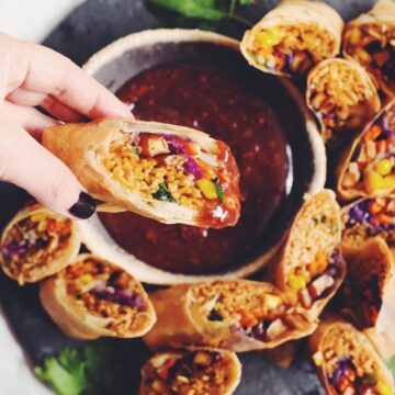 vegan ramen spring rolls_hot for food