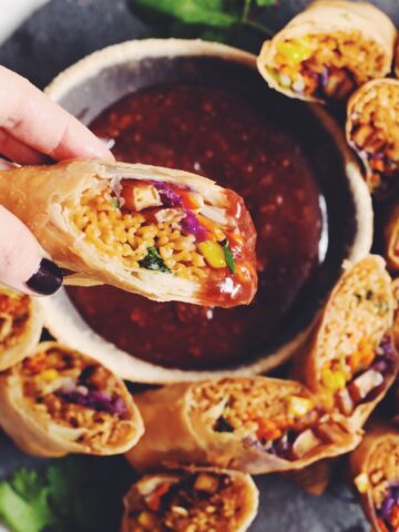 vegan ramen spring rolls_hot for food