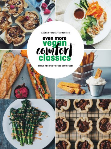 even more vegan comfort classics_cover_hot for food